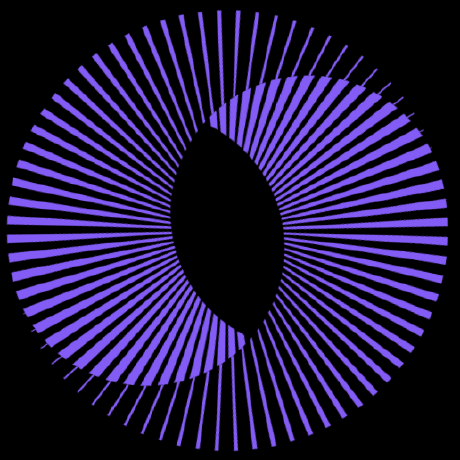 Focvs Sign Github - Geometric Illustrations - Modern 8K Collection