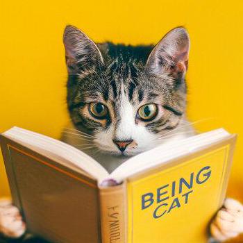 An Xian Github - Best Minimal Patterns in Mobile