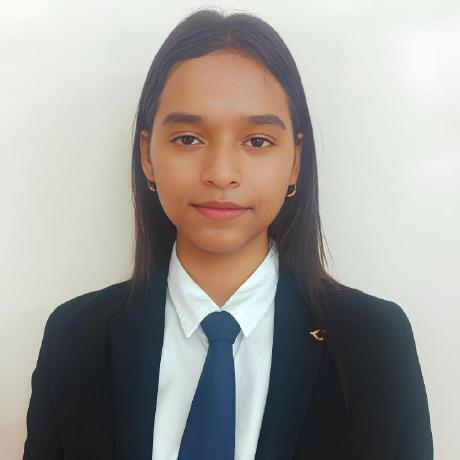 Shayantan Kabiraj Github - Light Pictures - High Quality Desktop Collection