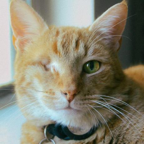 Github Aeszala Guitar App - Modern Dark Texture - Mobile