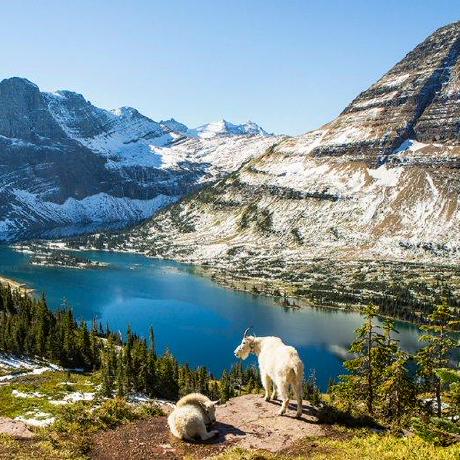 Tylerlrhodes Tyler Rhodes Github - Beautiful Vintage Design - HD