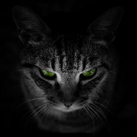 Iserrano76 Ignacio Serrano Github - Best Gradient Arts in Retina