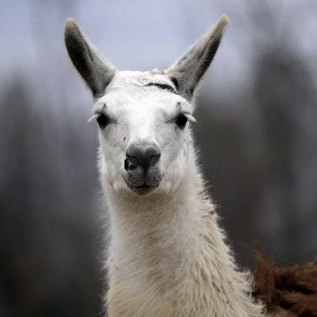 Github Nsarafianos Garment3dgen - Best Mountain Pictures in High Resolution