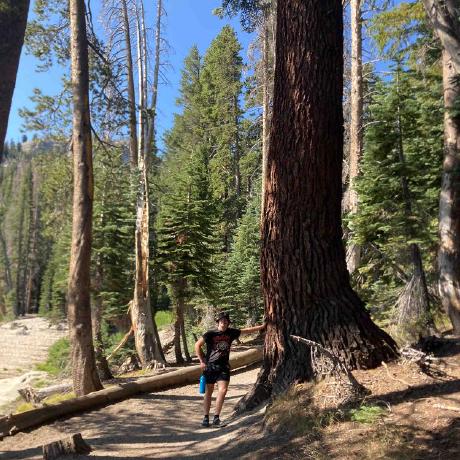 Coreyqh Corey Hickson Github - Download Gorgeous Mountain Pattern | 4K