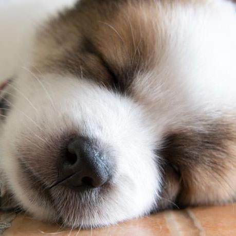 Ysw0121 Siwen Yu Github - Best Abstract Patterns in Desktop