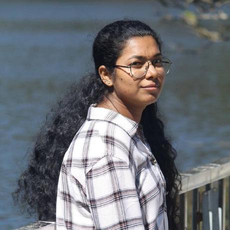 Mariya Danilchenko Github - Download High Quality Sunset Illustration | 4K