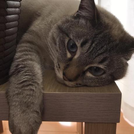 Kenzsoft Github - Best Geometric Illustrations in HD