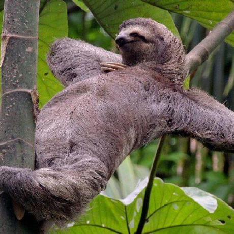 Khanhnguyen1302 Khanh Github - Light Pattern Collection - 8K Quality