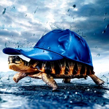 Laytonmadeira Layton Github - Premium City Background Gallery - 8K