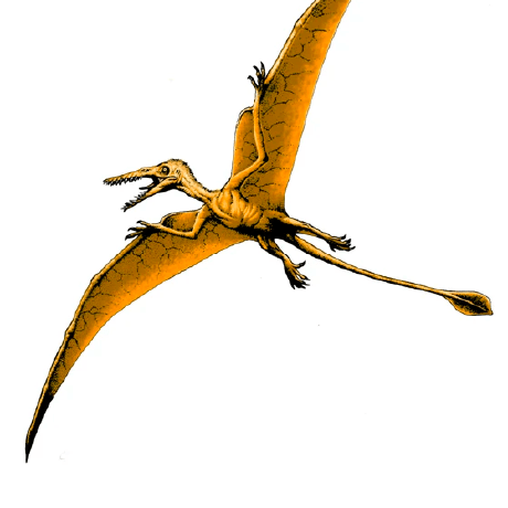 Github Yesint Fusogens Simulation Setups And Analysis Software For - 8K Light Arts for Desktop