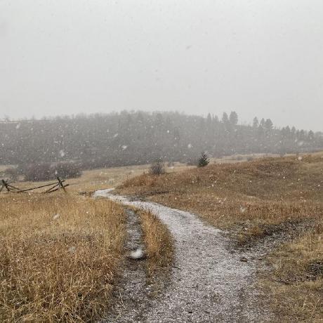 Reins Github - Ocean Illustrations - Premium HD Collection