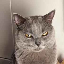 Github Samsulpanjul Relic Builder - Colorful Arts - Artistic High Resolution Collection