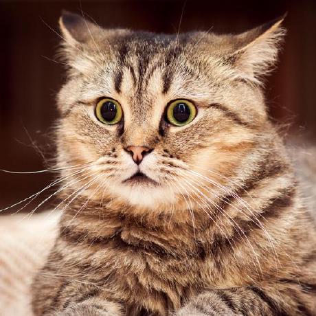 Sabilulmuttaqin Github - City Background Collection - Desktop Quality