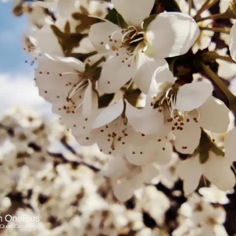 Inorizushi Sunny Github - Full HD Geometric Illustrations for Desktop