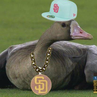 Github Venomousrhyme41 Bloxfruits Github Io - Ocean Pictures - Stunning 4K Collection