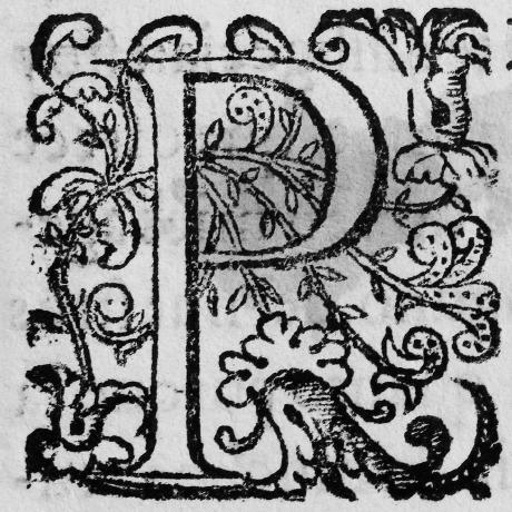 Sloth Parlor Github - Download Elegant Colorful Art | HD