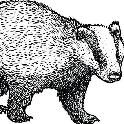 Github Ainilili Ratel - Desktop Sunset Backgrounds for Desktop