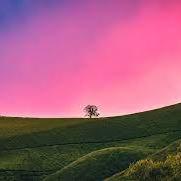 Ahmadyarcoding Ahmad Yar Github - Gorgeous Colorful Image - Ultra HD