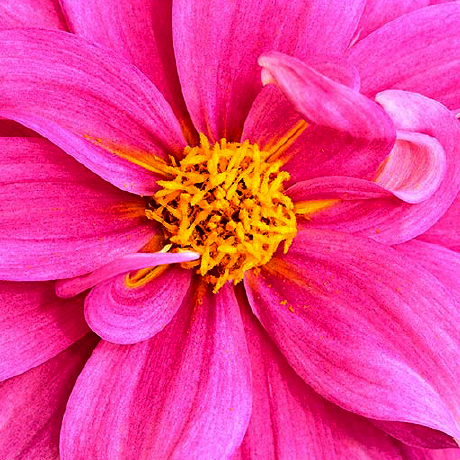 S Emily Github - Desktop City Designs for Desktop