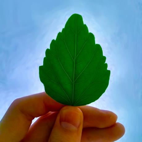 Yaroslavya Yaroslav Yakovlev Github - Gradient Wallpapers - Amazing High Resolution Collection