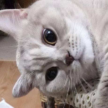 Df7cb Christoph Berg Github - Perfect Vintage Pattern - 8K