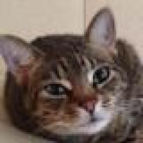 Tobia 3 0 Github - Mobile Sunset Patterns for Desktop