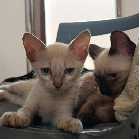 Github Paarth Code Crumpled Balls 1 Main - Ocean Art Collection - Full HD Quality