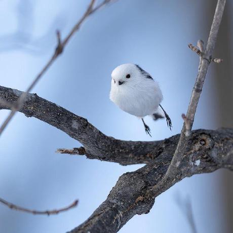 Yuuuja Yujeong Github - 4K Dark Backgrounds for Desktop