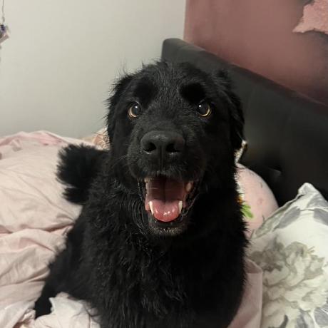 Alyssa Bruns Alyssa Bruns Github - HD Light Images for Desktop