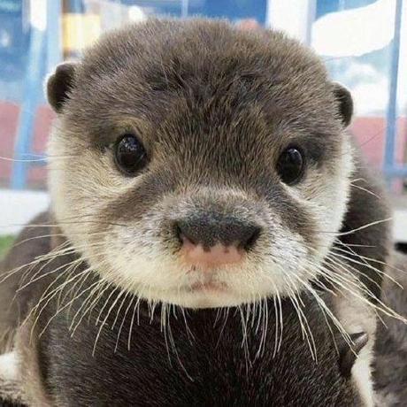 Jonginwon Jongin Won Github - Best Landscape Photos in Ultra HD