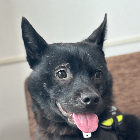 Github Danjgale Nii Masker Convenient Command Line Wrapper For - Incredible High Resolution Minimal Pictures | Free Download