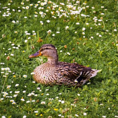 Github Pentagrampro Stable Confusion - Perfect Ultra HD City Backgrounds | Free Download