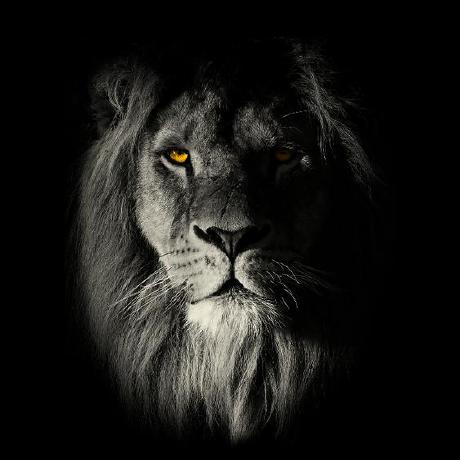 87flowers 87 Github - Nature Patterns - Premium Desktop Collection