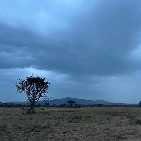 Jaygriggs Jay Griggs Github - Full HD City Textures for Desktop