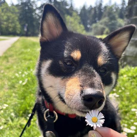 Scsk Momona Niida Github - Download Perfect Space Texture | 4K