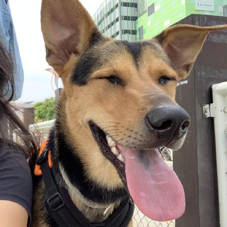 Bchen528 Becky Chen Github - Best Sunset Textures in Desktop