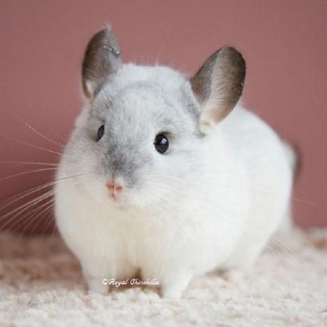 Matsunaga Shinji Github - Download Perfect Sunset Picture | 4K