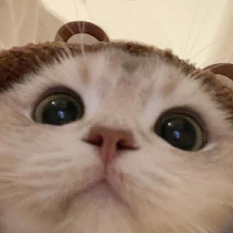 Inb Casy Github - Premium Mountain Background Gallery - Retina