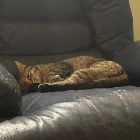 Christopher Nikolovski Github - Gorgeous 4K Minimal Arts | Free Download