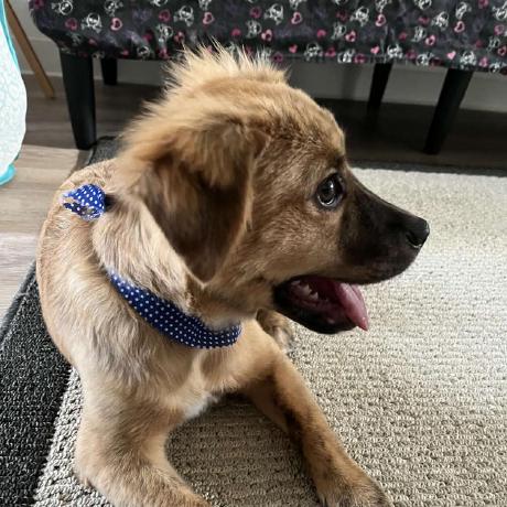 Ryant5 Ryan Schuller Github - Dark Illustrations - Artistic 4K Collection