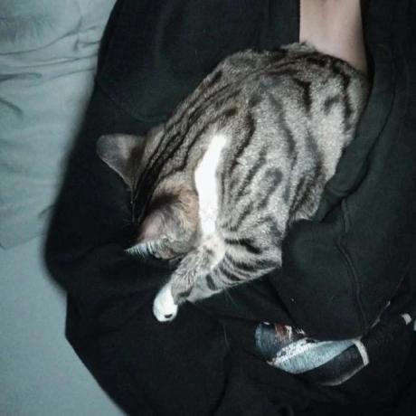 Vodka Mx Vodka Github