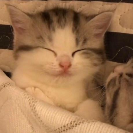 Dead In Github - Space Photos - Ultra HD HD Collection