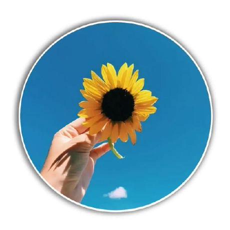 01 Sayantani Github - Modern Dark Illustration - High Resolution