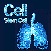 Github Chichun2002 Solarcellclassificationcomp9517 - Modern Ultra HD Vintage Textures | Free Download