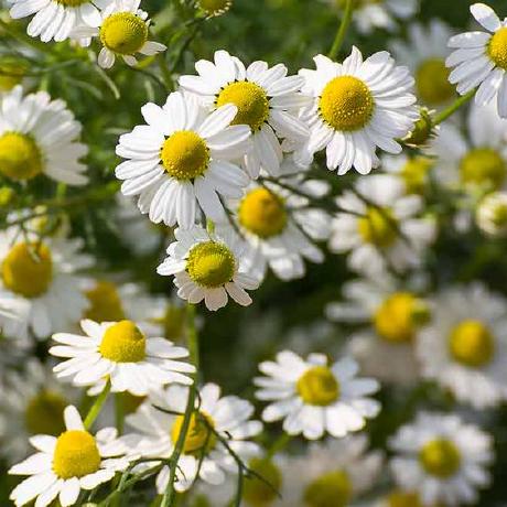 Imhashirktk Hashir Khattak Github - Stunning Full HD Dark Pictures | Free Download