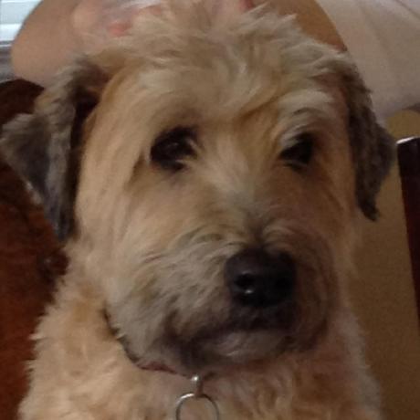 Adam Test 04 Github - Modern Mobile Landscape Backgrounds | Free Download