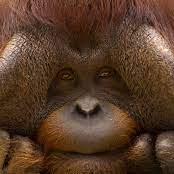 Infused Keith Morrison Github - Creative Gradient Illustration - 4K