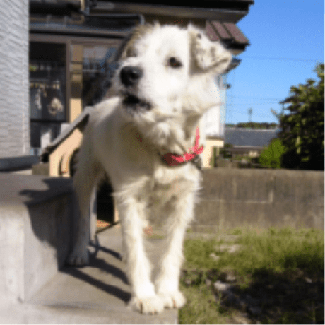 Koichi Noguchi Github - Modern Ultra HD Minimal Textures | Free Download