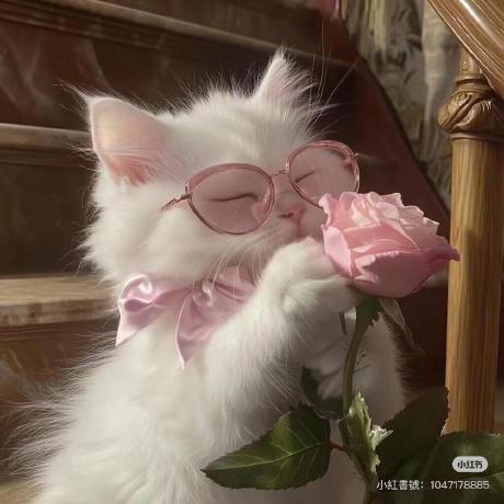 Github Onechendong Computer Organization - Premium Dark Photo Gallery - Retina