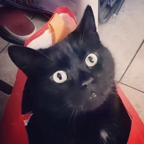 Bboyakers Austin Akers Github - Premium Mountain Pattern Gallery - Retina